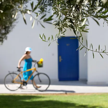 Aliathon Aegean 4* Geroskipou