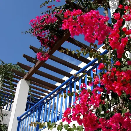 Aliathon Aegean Yeroskipou